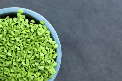 High angle view of vegetables in bowl