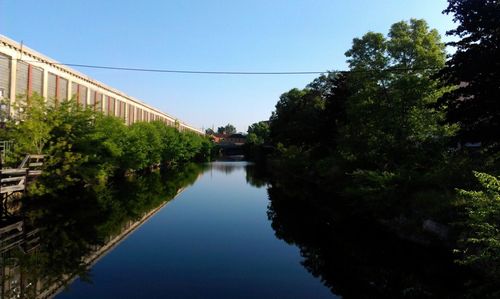 Reflection of trees in river