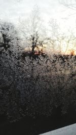 Close-up of snow covered glass window