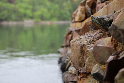 Close-up of rock wall by water
