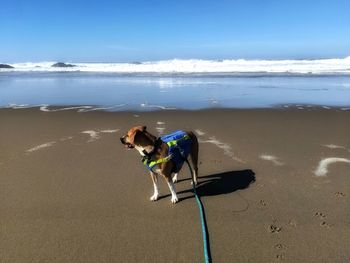 View of person on beach