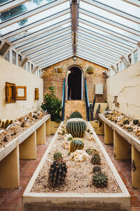 High angle view of potted plants outside building