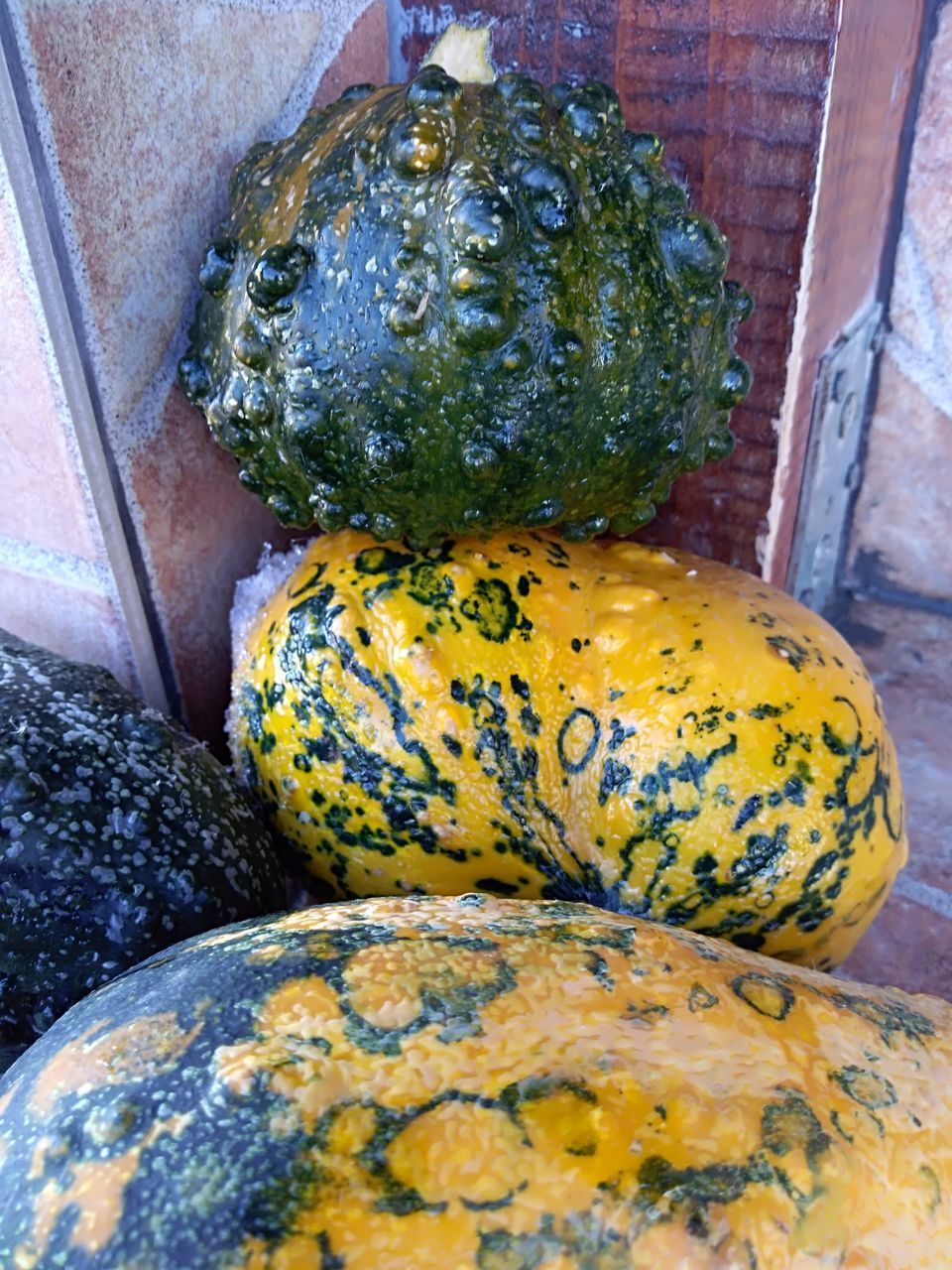 HIGH ANGLE VIEW OF PUMPKIN