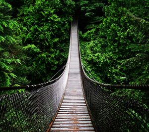 Footbridge in forest