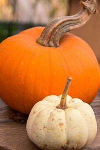pumpkin