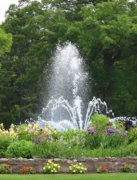 Scenic view of waterfall