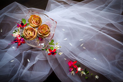 Close-up of red rose