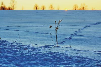 Scenic view of snow covered land