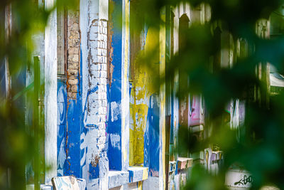 Childrens drawings on the wall of an abandoned building, view from the park through the leaves