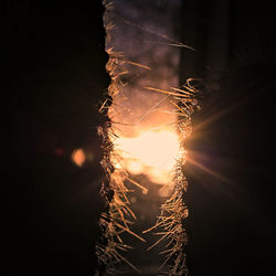 Low angle view of trees against sky