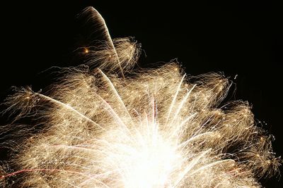 Low angle view of firework display