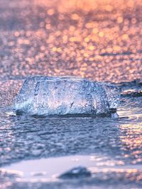 Close-up of ice on sea shore during sunset