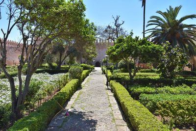 Footpath in park