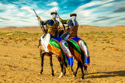 Algeria horse  view of man standing on field