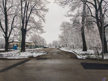 Empty road amidst bare trees against clear sky during winter