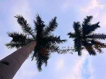 Low angle view of bare trees against sky