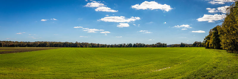 Agricultural