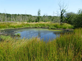 Scenic view of lake against sky