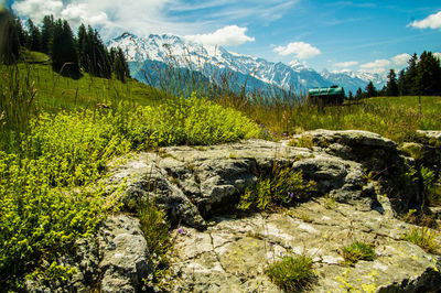 Les houches in haute savoie in france