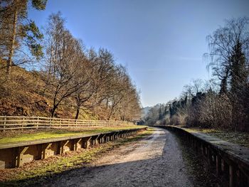 Empty road amidst trees against sky