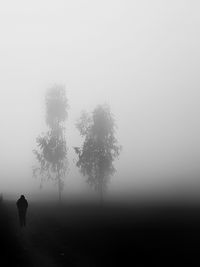 Silhouette person standing by tree on field against sky