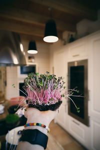 Midsection of woman holding microgreens at home