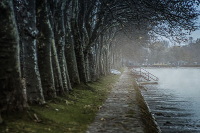 Empty walkway by lake during winter