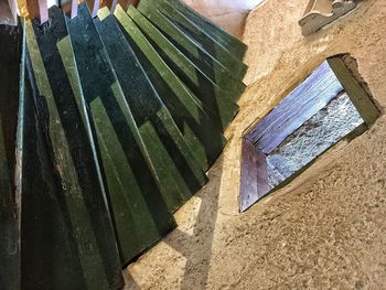 High angle view of plants