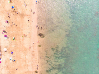 High angle view of people on swimming pool