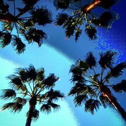 Low angle view of coconut palm tree against clear blue sky