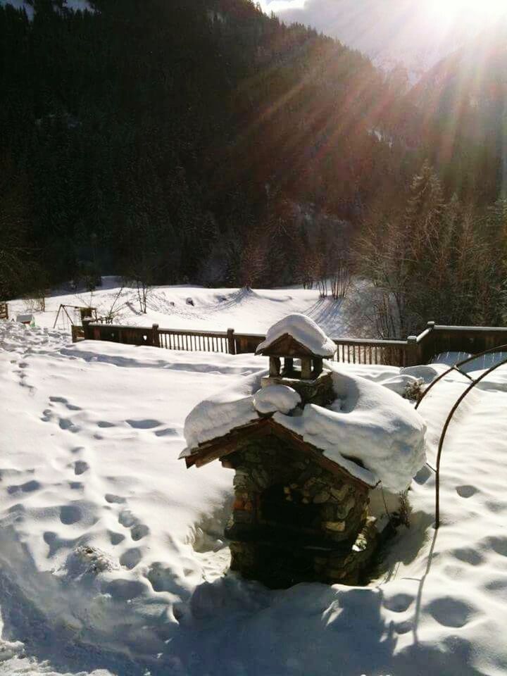 SNOW COVERED TREE