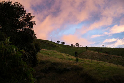 Scenic view of grassy field against sky during sunset