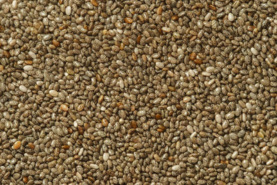 Black chia seeds close-up