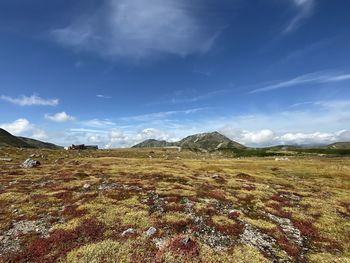 Scenic view of field against sky