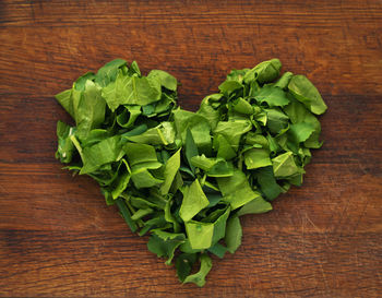 High angle view of green leaves on table