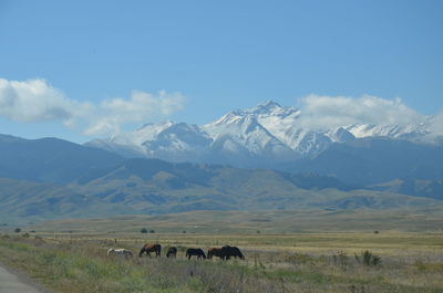 mountain