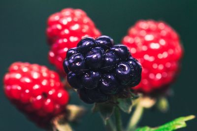 Close-up of raspberries against black background