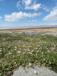 Scenic view of field against sky