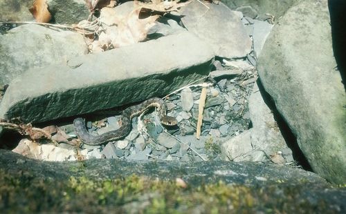 Close-up of old weathered wall