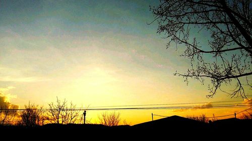 Low angle view of silhouette trees against sky during sunset