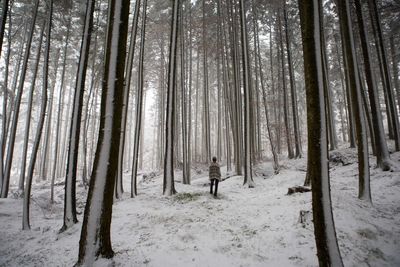 Person in forest during winter