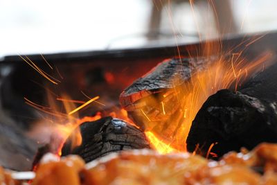 Close-up of burning coal