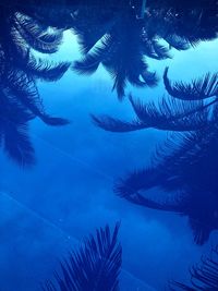 Swimming pool and trees by sea