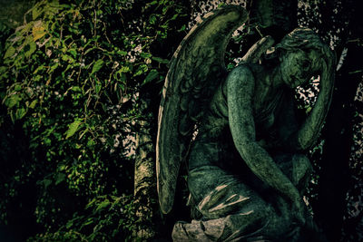 Close-up of vegetables