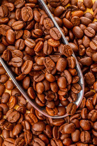 Close-up of coffee beans