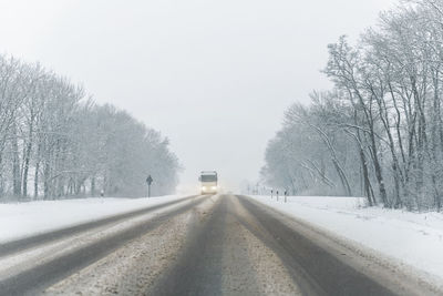 Road amidst bare trees