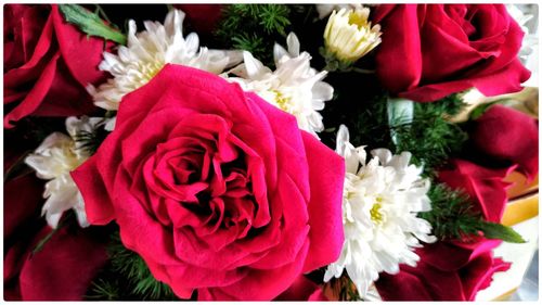 Close-up of rose bouquet