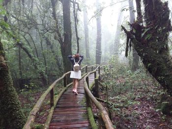 Man standing on footbridge in forest