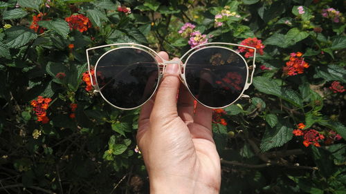 Close-up of hand holding sunglasses against plants