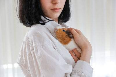 Cute guinea pig in the girl's arms, child and animal concept